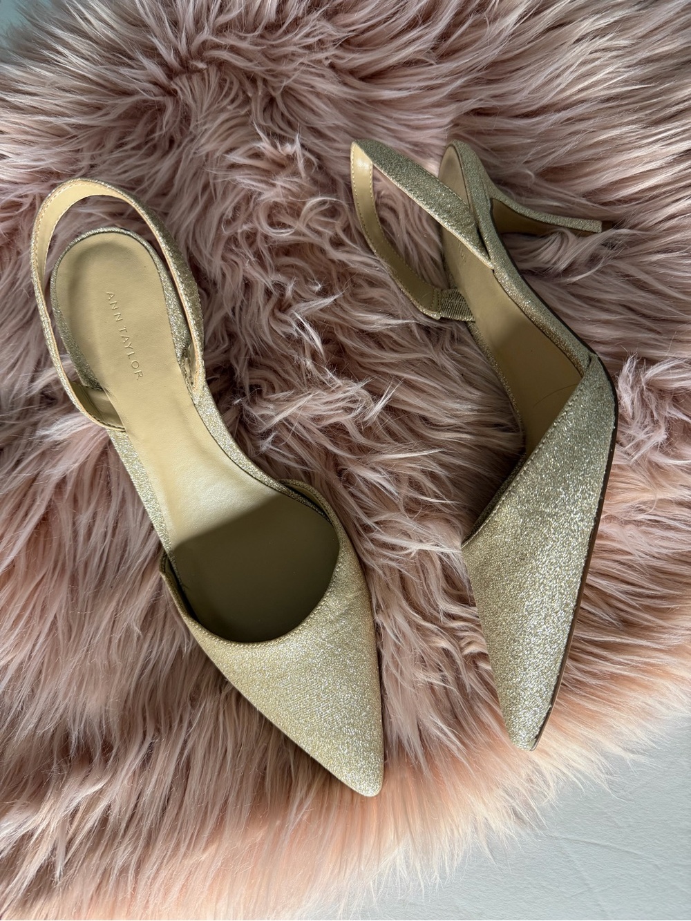 Ann Taylor Slingback Pumps Size 8,5